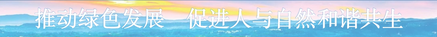 推動(dòng)綠色發(fā)展  促進(jìn)人與自然和諧共生